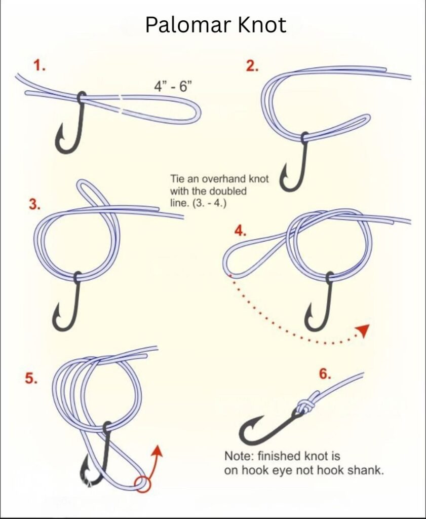 Palomar Knot