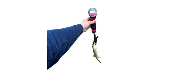 How to Set Up a Spinning Reel Drag for Beginners
