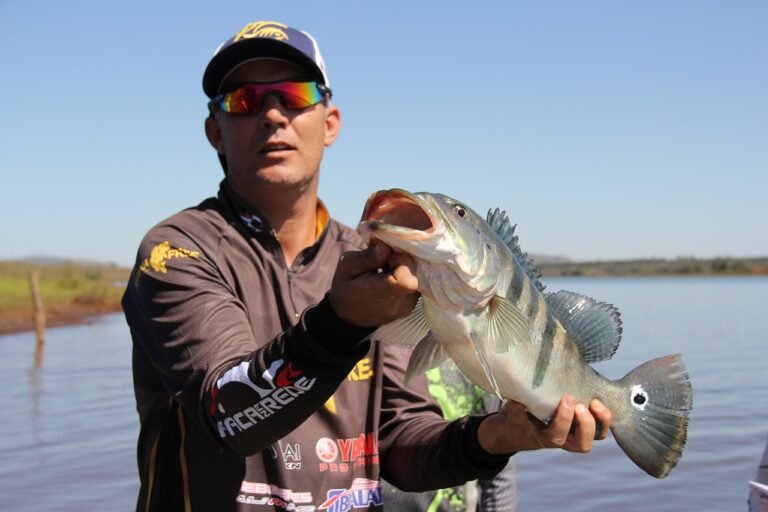 peacock bass, fishing, tournament, big fish, fishing, big fish, big fish, big fish, big fish, big fish