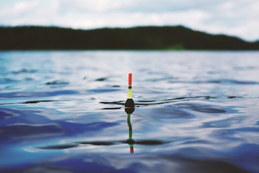 Vibrant fishing float gently resting on a serene blue water surface, ideal for travel and nature themes.
